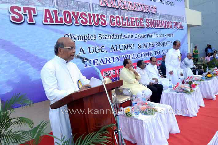 aloyuies_swimng_pool_26