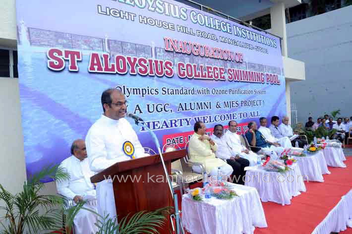 aloyuies_swimng_pool_28