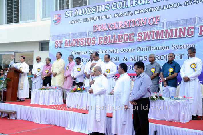 aloyuies_swimng_pool_3