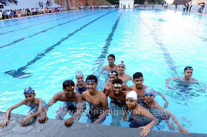 aloyuies_swimng_pool_30