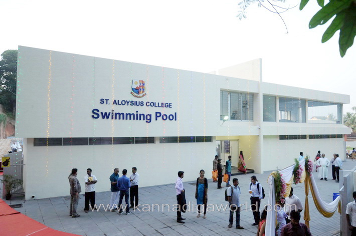 aloyuies_swimng_pool_31