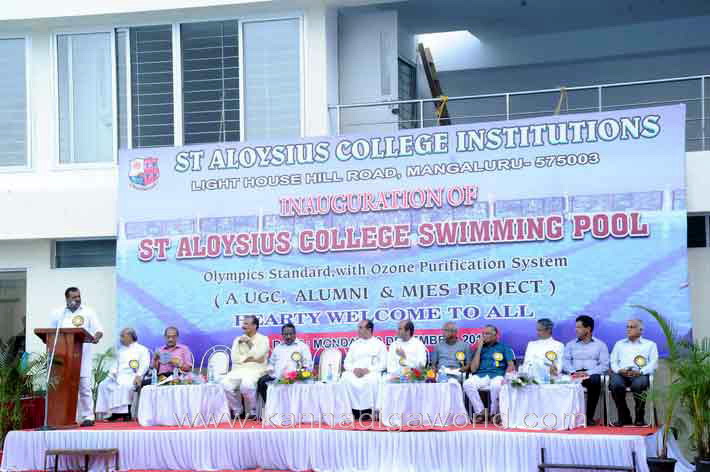 aloyuies_swimng_pool_33