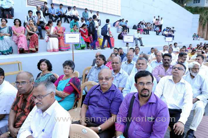 aloyuies_swimng_pool_34