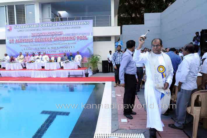 aloyuies_swimng_pool_4