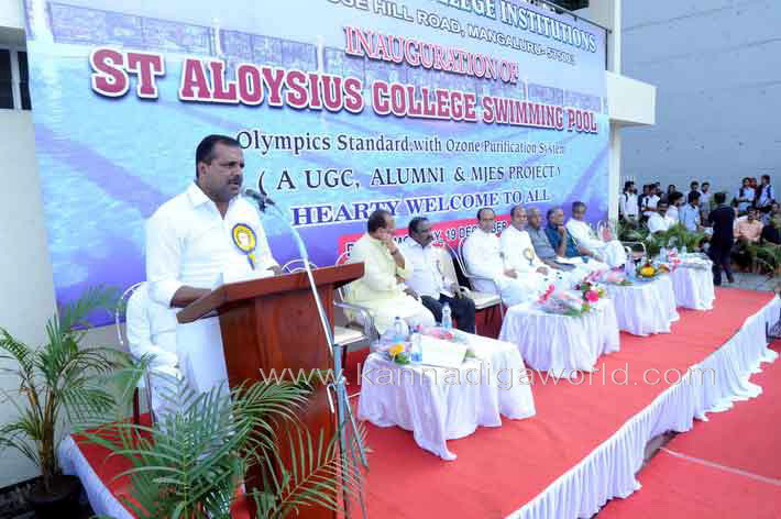 aloyuies_swimng_pool_5