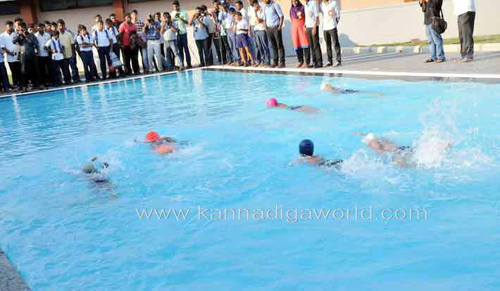 aloyuies_swimng_pool_6