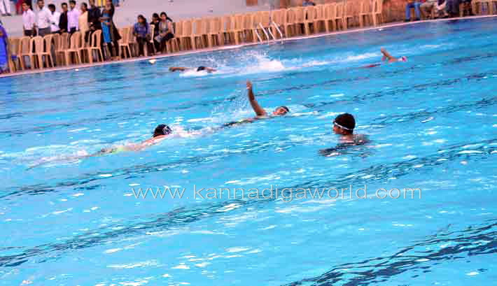 aloyuies_swimng_pool_8