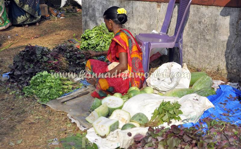 kalavara_kalinga-temple_champa-shashti-18