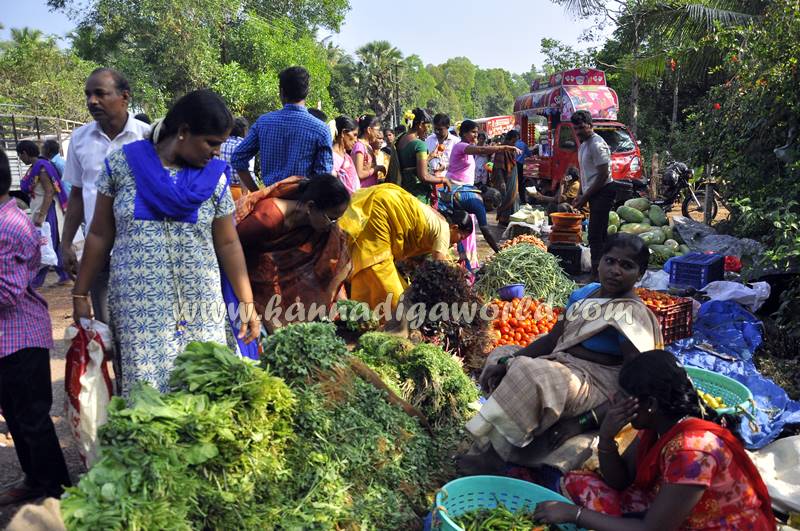 kalavara_kalinga-temple_champa-shashti-31