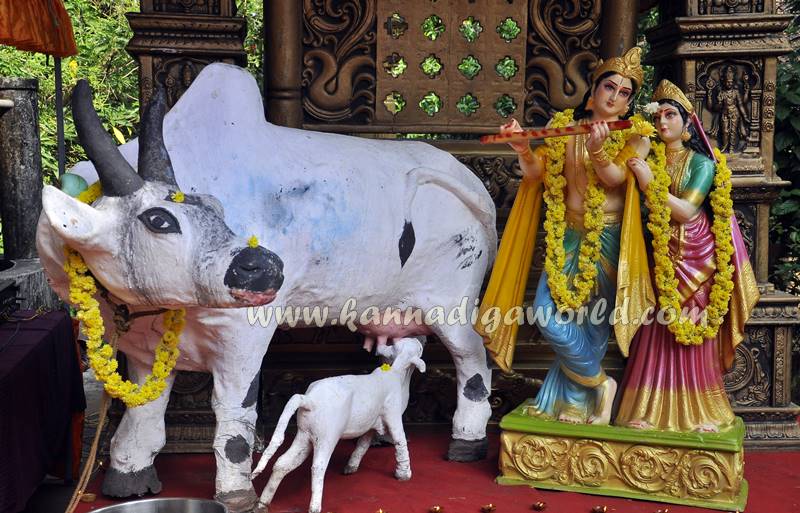 kalavara_kalinga-temple_champa-shashti-35