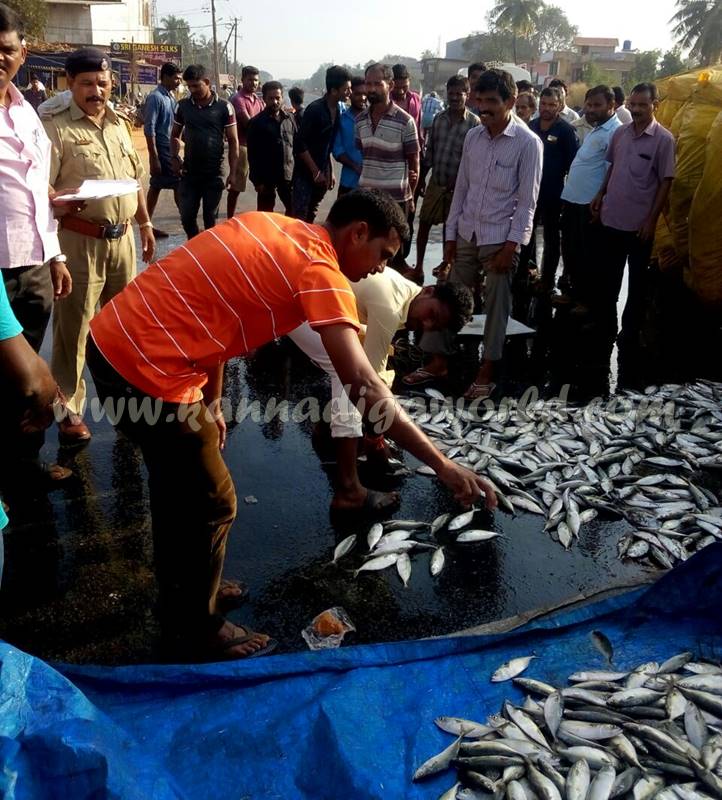 kundapura_fish-lorry_pulty-1