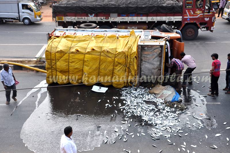 kundapura_fish-lorry_pulty-3