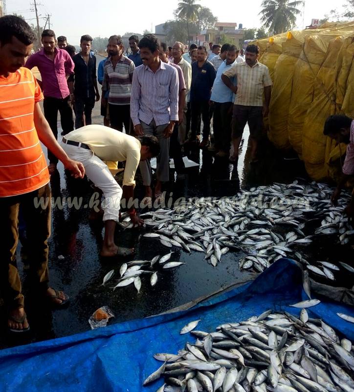 kundapura_fish-lorry_pulty-4