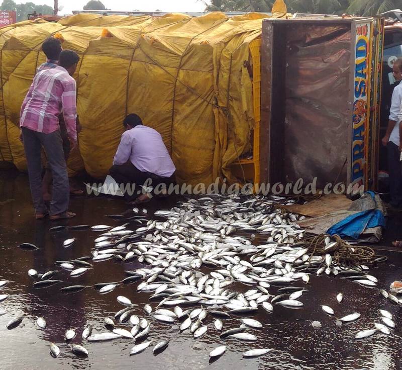 kundapura_fish-lorry_pulty-6