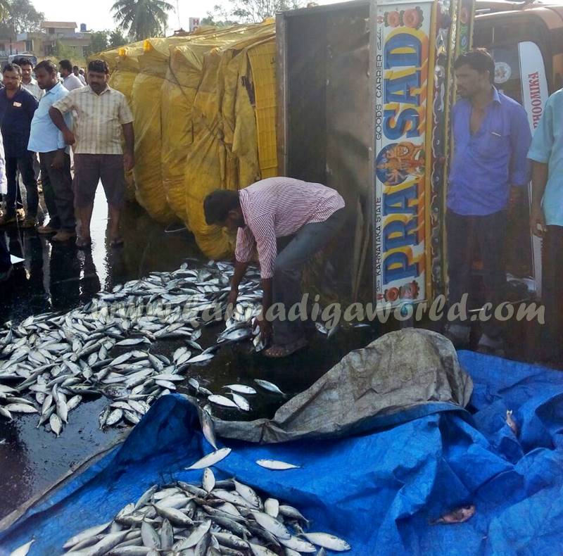 kundapura_fish-lorry_pulty-8