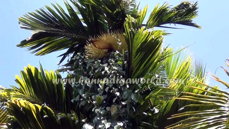 kundapura_fresh_water-1