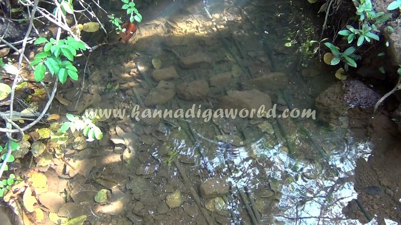 kundapura_fresh_water-2