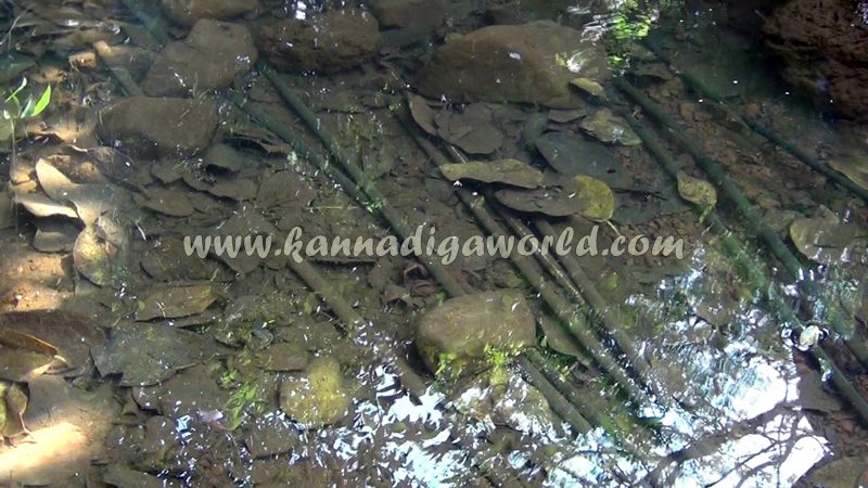 kundapura_fresh_water-3