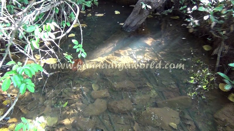 kundapura_fresh_water-5