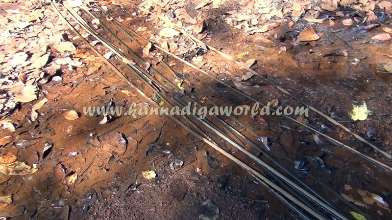 kundapura_fresh_water-6