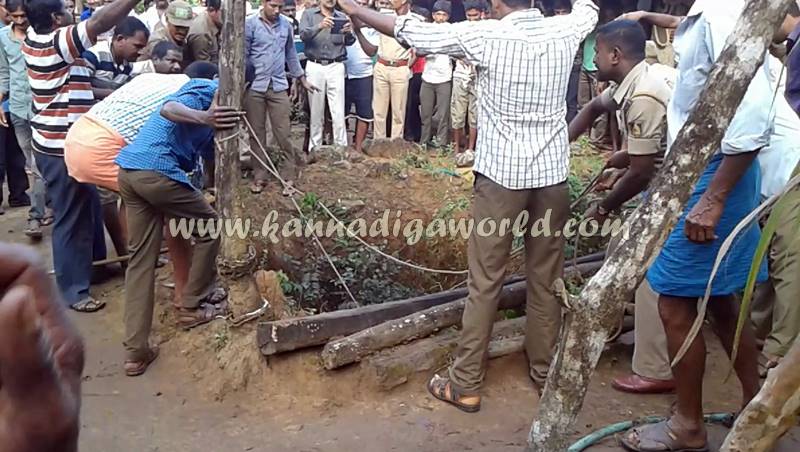 kundapura_siddapura_cheetha-problem-14