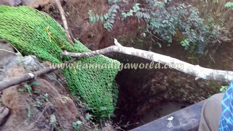 kundapura_siddapura_cheetha-problem-17