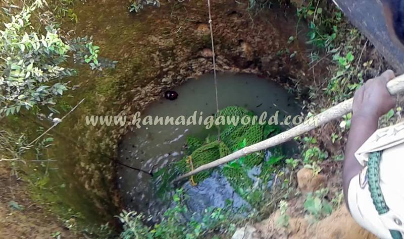 kundapura_siddapura_cheetha-problem-18