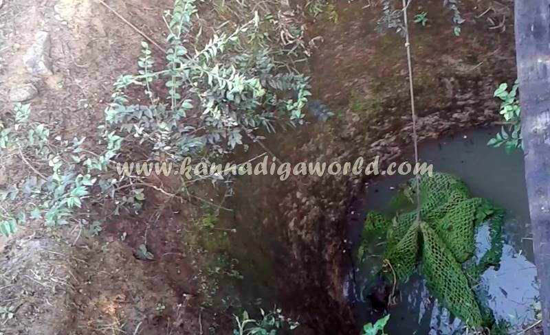 kundapura_siddapura_cheetha-problem-19