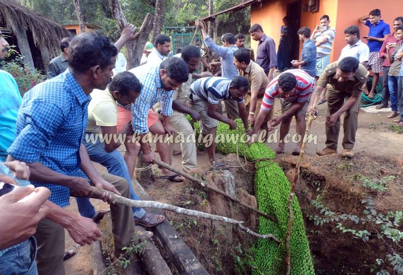 kundapura_siddapura_cheetha-problem-2