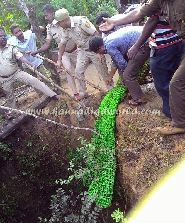 kundapura_siddapura_cheetha-problem-8