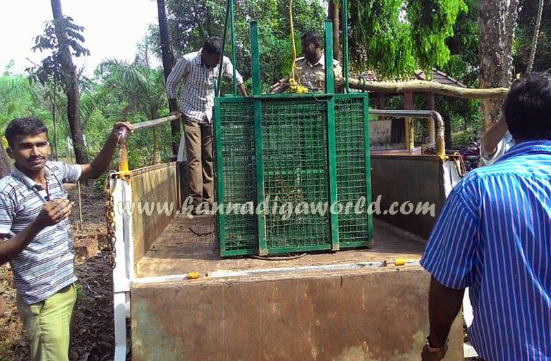 kundapura_siddapura_cheetha-problem-9